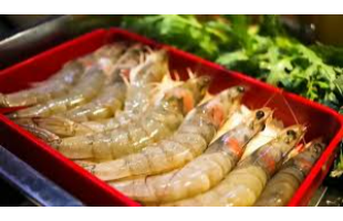 奕湃